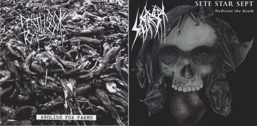 Death Toll 80k : Death Toll 80K - Sete Star Sept